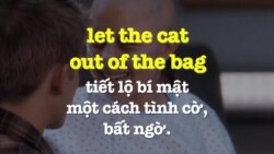 Học tiếng Anh qua phim ảnh: Let the cat out of the bag - Phim My sister's keeper (VOA)