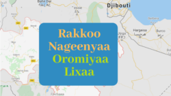 Oromiyaa Lixaa Keessatti "Gurmuu Hidhattoota Seeraa-alaa Deggertu," Maqaa Jedhuun Hidhaan Nutti Hammaate, Jedhu Jiraattota Keessaa