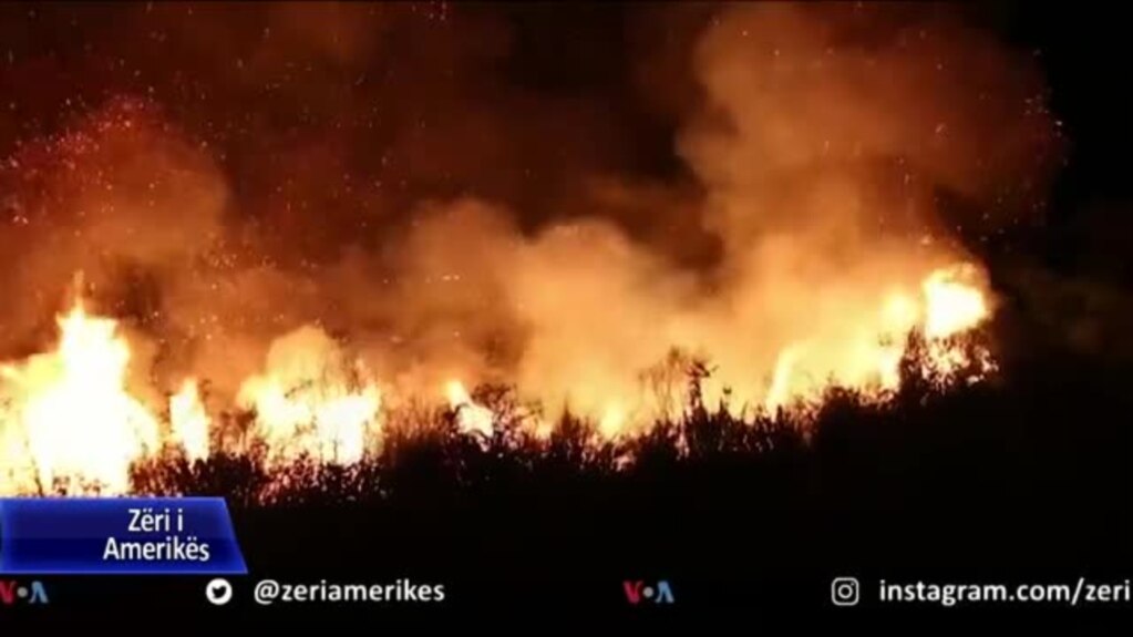9 vatra zjarri në sipërfaqet pyjore në Veri të Shqipërisë