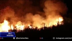 9 vatra zjarri në sipërfaqet pyjore në Veri të Shqipërisë