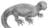 Shell Shock: Triassic Reptile Was 'Grandfather' of All Turtles