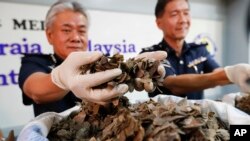 Direktur Bea Cukai Bandara Malaysia Hamzah Sundang (kiri), menampilkan kulit trenggiling yang disita dalam konferensi pers di Sepang, Malaysia pada hari Jumat, 16 Juni 2017. (AP Photo / Vincent Thian)