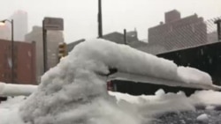 Nueva York recibe la primavera con nieve