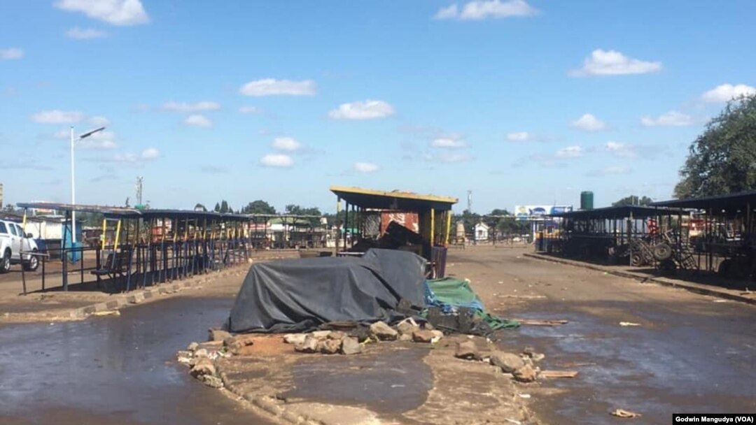  Mbare Musika Covid