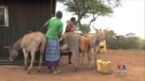 Coca Cola, Local Women at Forefront of Kenya Water Initiative