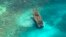 A Chinese fishing vessel that ran aground in Tubbataha Reef, a UNESCO World Heritage site, on Monday is pictured in Palawan Province, west of Manila April 10, 2013.