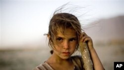 An Afghan girl.