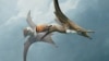 Fossil from Germany Provides New Details about Ancient Flying Reptiles