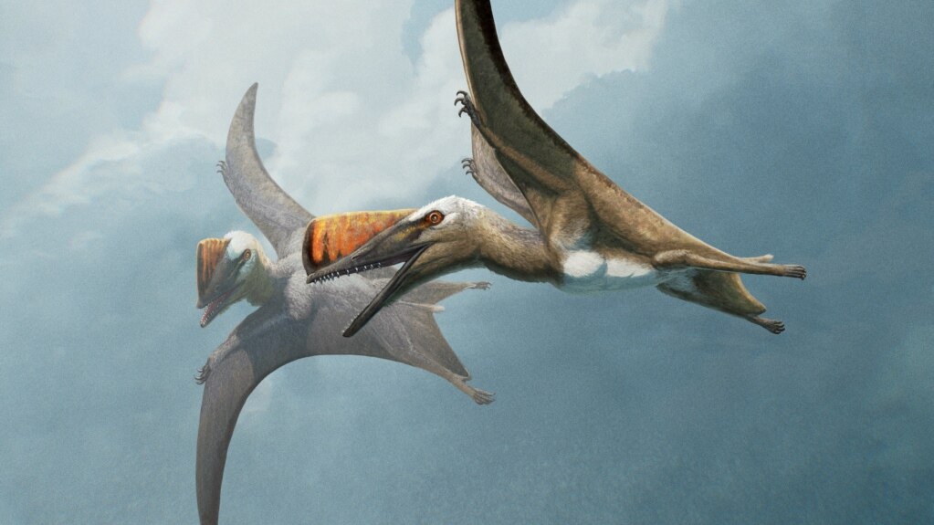 Fossil from Germany Provides New Details about Ancient Flying Reptiles