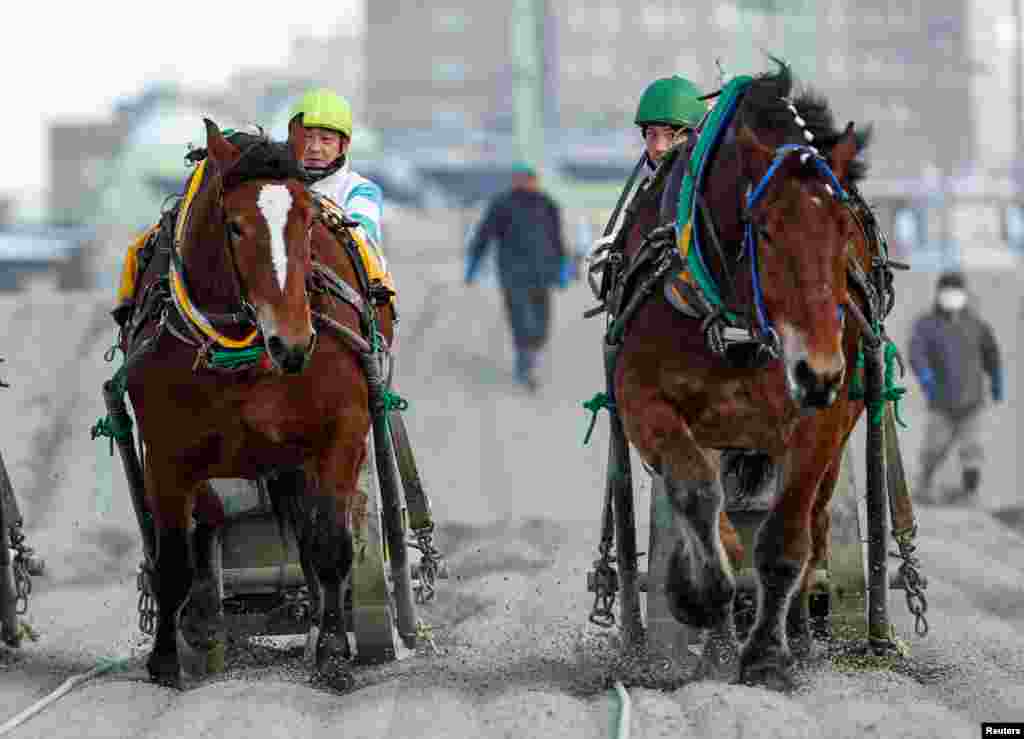 Jokceys and &#39;Banei&#39; horses compete during their &#39;Banei&#39; Keiba race, a form of farm horse racing, at Obihiro &#39;Banei&#39; horse Race Track in Obihiro, Hokkaido, Japan.