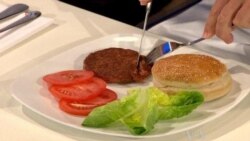 Artificial Burger Tastes Almost Real
