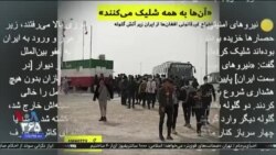 اخبار شامگاهی