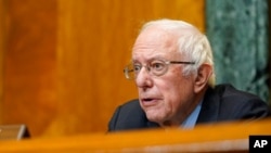 FILE - Sen. Bernie Sanders, I-Vt., speaks during a hearing on Capitol Hill, Feb. 25, 2021.
