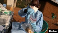 L'écologiste James Koninga fait des recherchse sur la fièvre de Lassa dans le village de Jormu, dans le sud-est de la Sierra Leone, le 8 février 2011. (REUTERS/Simon Akam)