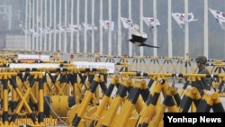 한국 정부가 개성공단 사태 해결을 위한 실무회담을 북한에 제안한 25일 경기도 파주시 통일대교에서 육군 초병 위로 까치가 날아가고 있다.