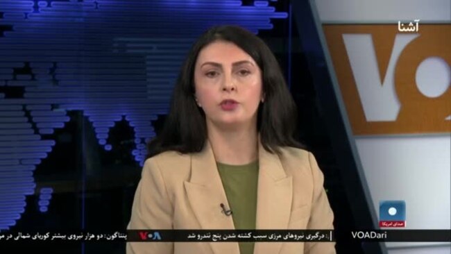 امریکایی‌ها نباید در قبال سرنوشت افغان‌ها بی‌تفاوت باشند - سرابی