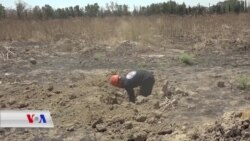 Li Reqa Dîtina Gorên Komkujî Berdewam Dikin