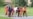 16x9 Image