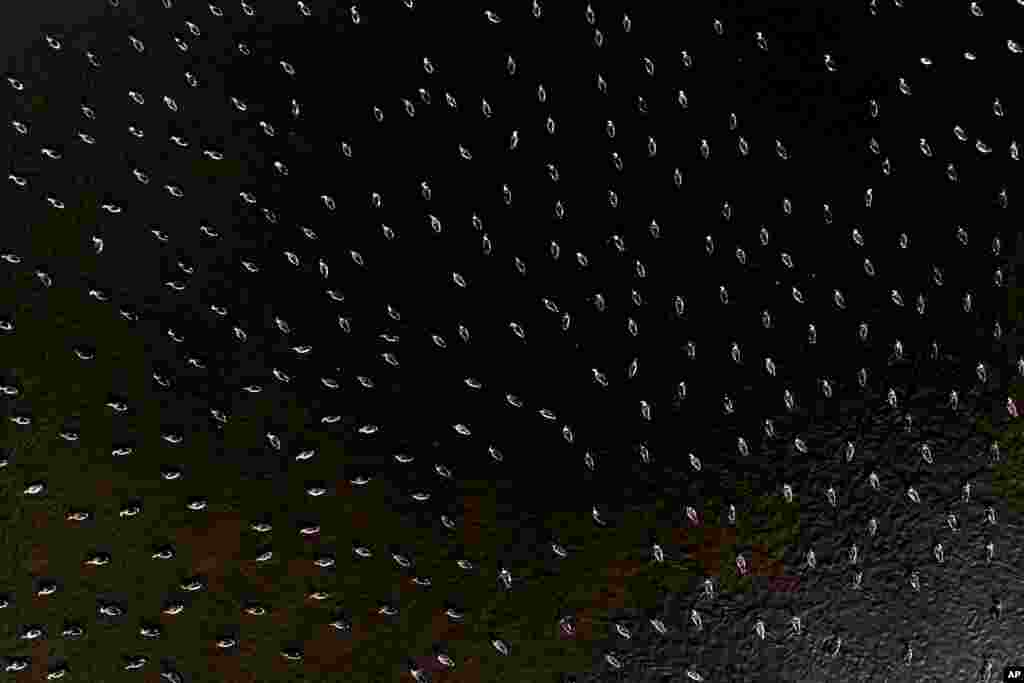 A flock of greylag geese and greater white-fronted geese gather in the municipality of Hortobagy, Hungary.