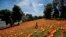 A woman walks among the flags placed in memory of coronavirus (COVID-19) victims in Madrid, Spain.