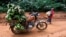 FILE - A motorbike taxi laden with locally-picked bananas is seen parked on the dirt track between the town of Mundemba and the village of Fabe, June 8, 2012. 
