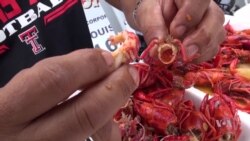 Crawfish Season Celebrated in Texas