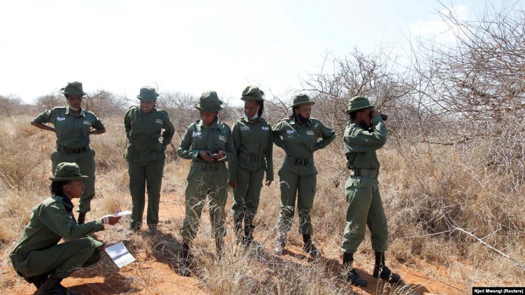 Anggota Team Lioness, sebuah unit penjaga hutan Kenya yang semuanya perempuan, mengambil koordinat GPS untuk pemetaan selama patroli saat mereka tinggal di kamp Risa karena wabah Covid-19, di dalam konservasi Olgulului di Amboseli, Kenya, 7 Agustus 2020. 