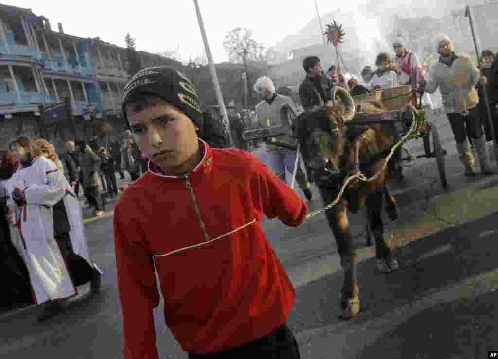 A boy leads a buffalo-drawn carriage during "Alilo", a religious procession, to celebrate the Orthodox Christmas in Tbilisi, Georgia, January 7, 2012. (Reuters)