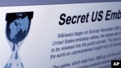 Di vê wêneyê de malpera Wikileaks xwane dibe, ku di 1ê meha 12, Berfanberê de, li New York hate girtin. (AP Photo/Richard Drew)