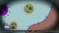 🔴 پخش زنده | اخبار «۹ شب»