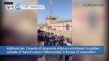 VOA60 World- Crowds of desperate Afghans continued to gather outside of Kabul's airport Wednesday in hopes of evacuation