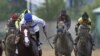 Preakness: Shackleford Win Ends Triple Crown Prospects