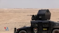 سەرچاوە هەواڵییەکان ئاماژە بە جموجۆڵ و خۆڕێکخستنەوەی داعش لە عێراق دەکەن 