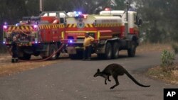 El estado más poblado de Australia declaró el jueves su segundo estado emergencia en meses, mientras que el calor extremo y los fuertes vientos avivaron más de 100 incendios forestales, incluyendo tres grandes incendios en las puertas de Sídney. Foto AP.