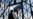 Stolen Gate Returned to Germany's Dachau Concentration Camp