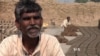 Pakistan's Bonded Laborers Trapped in Cycle of Debt