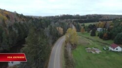Một hòn đảo nhỏ của Canada mời gọi dân Việt Nam, Trung Quốc nhập cư