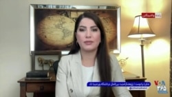 شکریا برادوست: به‌یاد ندارم که در تاریخ مردم کشوری به‌دلیل شدت سرکوب داخلی از حمله‌ی خارجی به کشورشان حمایت کنند. 