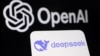 OpenAI与DeepSeek的标识 