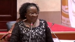 Parlamentares africanos defendem aproveitamento de jovens na tomada de decisões