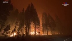 Քալդոր անվանումը կրող Կալիֆոռնիայի անտառային հրդեհը մոտենում է ավելի խիտ բնակեցված տարածքներին