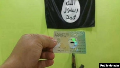 Nega osiyoliklar? Nega osiyoliklar?