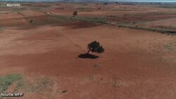 လူသားချင်းစာနာ ကူညီနေတဲ့ WFP 