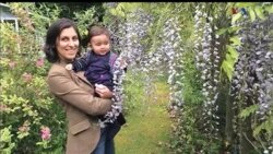 اخبار شبانگاهی