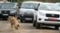 FILE - A female lion walks along a road as visitors sit in their vehicles at Nairobi's National Park in Kenya's capital Nairobi, July 12, 2014. 