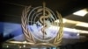 유엔 안보리, WHO·FAO 대북제재 면제 승인