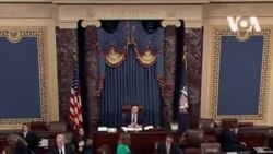 Митч Макконелл ответил критикам