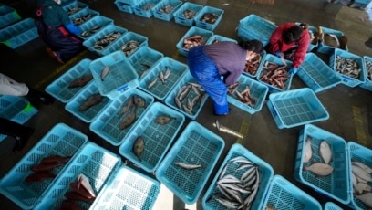 Japanese People Supporting Fishermen by Buying from Fukushima Area