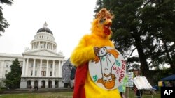 Hình "Chicken Don" trong cuộc biểu tình đòi tổng thống Trump công bố thông tin thuế ở Sacramento, California, 12/4/2017