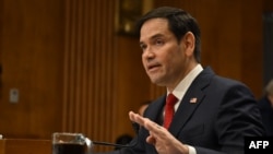 El senador estadounidense Marco Rubio testifica ante una audiencia del Comité de Relaciones Exteriores del Senado sobre su nominación para ser Secretario de Estado, en el Capitolio en Washington, DC, el 15 de enero de 2025. (Foto de ANDREW CABALLERO-REYNOLDS / AFP)